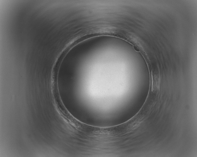 X0000072950435200607282234