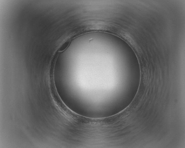 X0000072950482200607282234