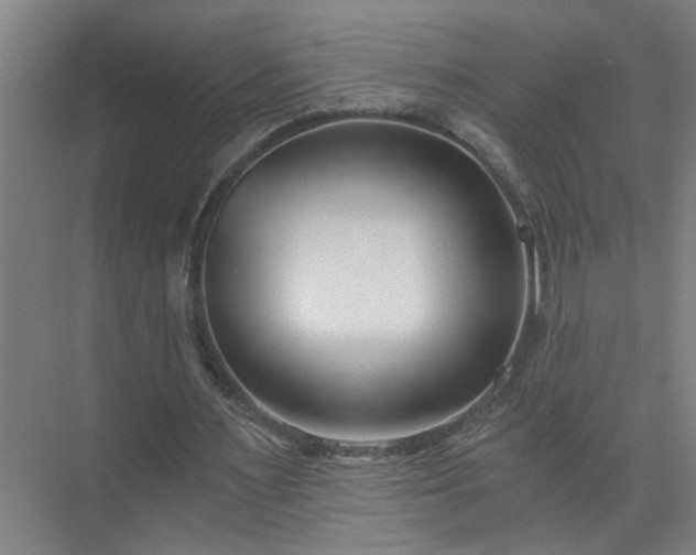 X0000072950483200607282234