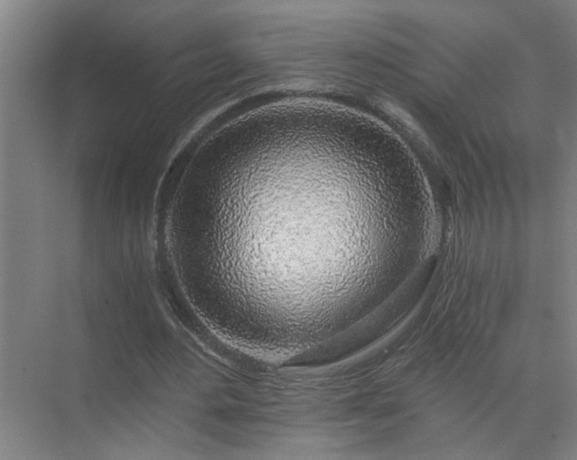 X0000072950484200607282234