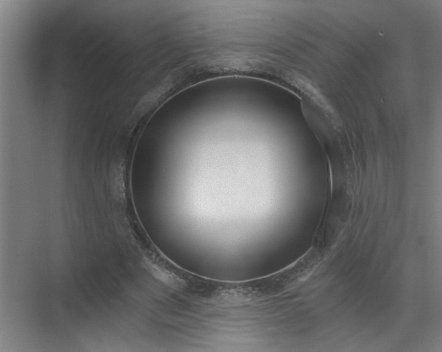 X0000072950489200607282234
