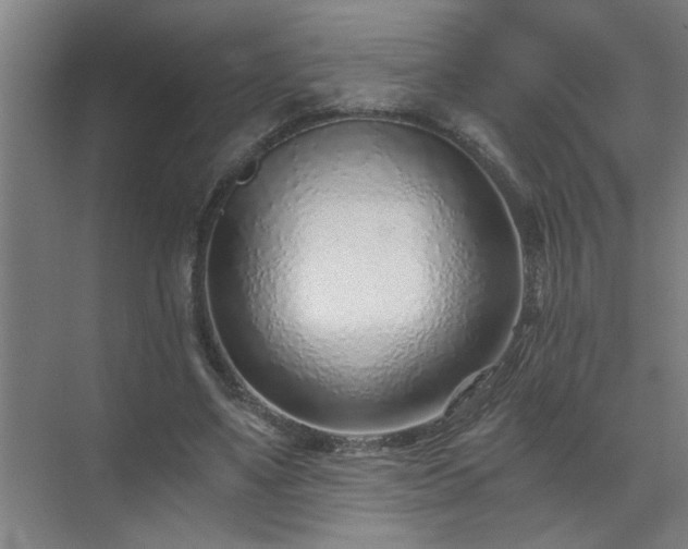 X0000072950491200607282234