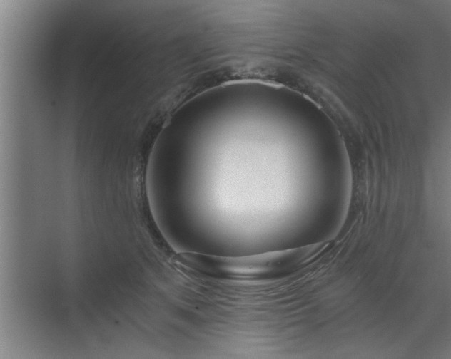 X0000072950513200607282233