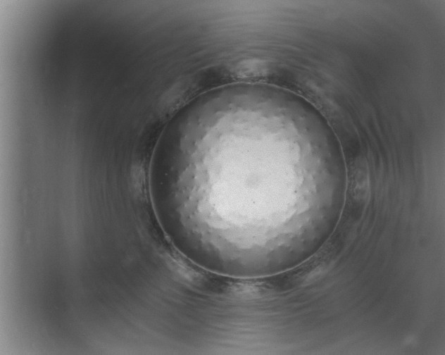 X0000072950523200607282233