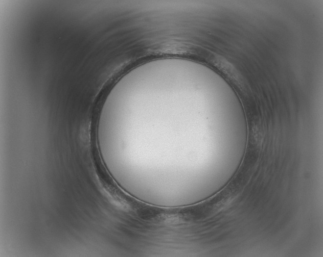 X0000072950534200607282232
