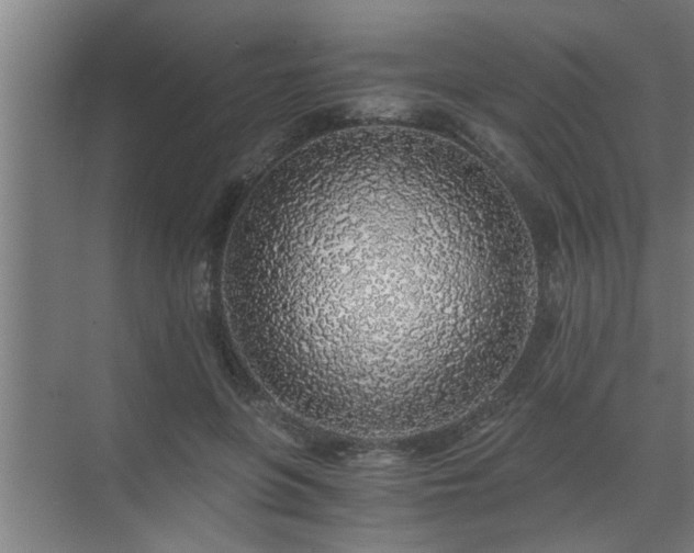 X0000072950551200607282233