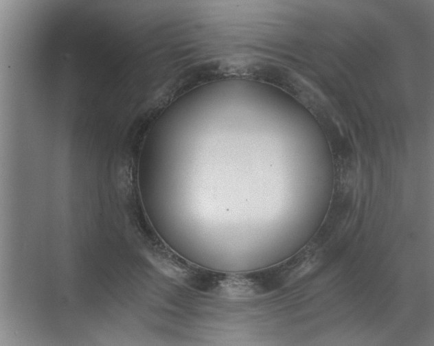 X0000072950603200607282232