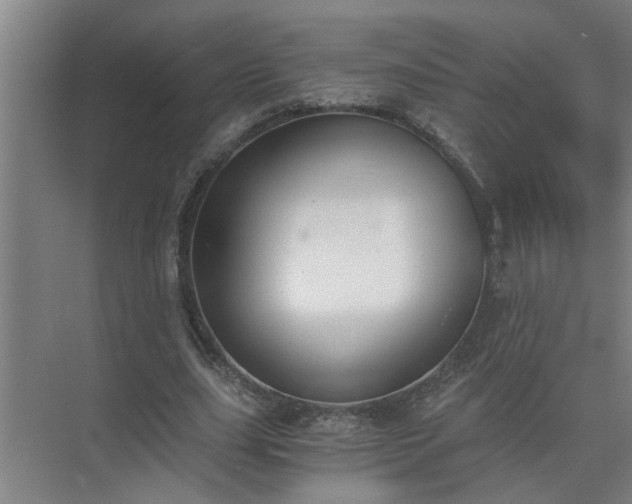 X0000072950631200607282231