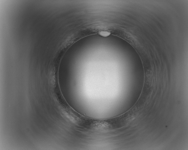 X0000072950642200607282231