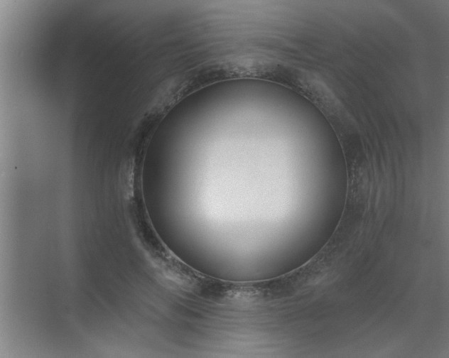 X0000072950694200607282230