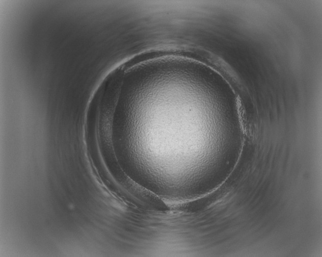 X0000072950724200607282229