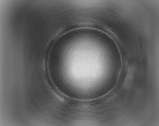 X0000072950729200607282229