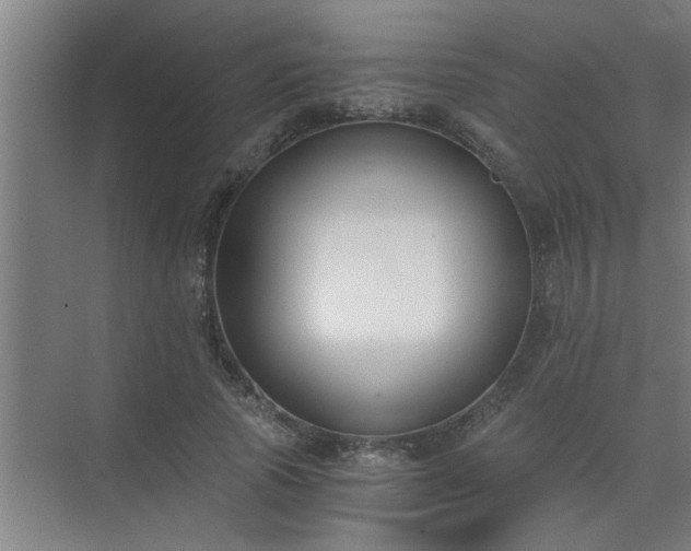 X0000072950737200607282229