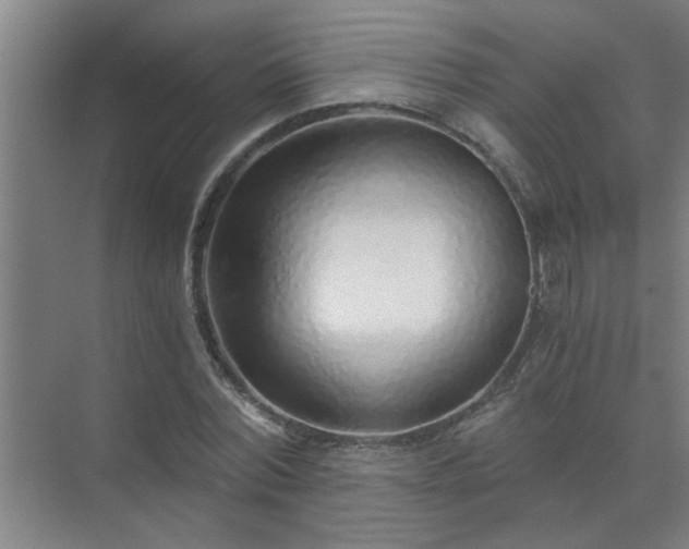 X0000072950780200607282229