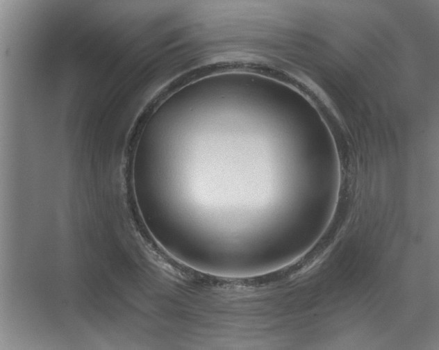 X0000072950783200607282229