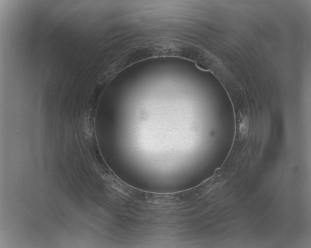 X0000072950819200607282227