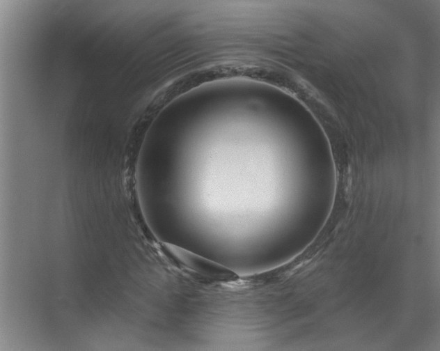 X0000072950822200607282227