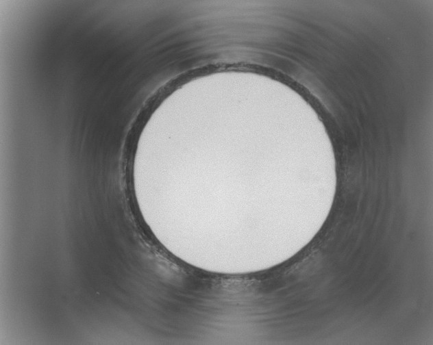 X0000072950832200607282228