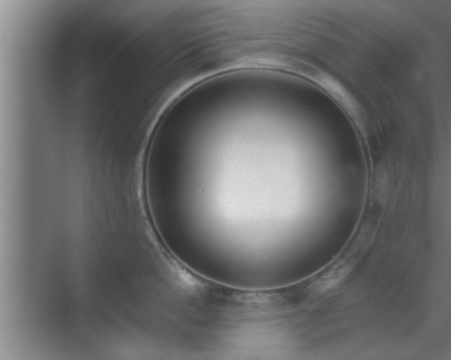 X0000072950862200607282228