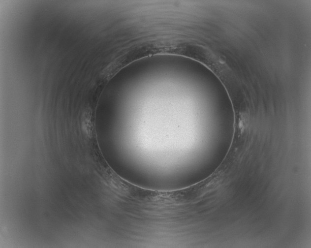 X0000072950867200607282227