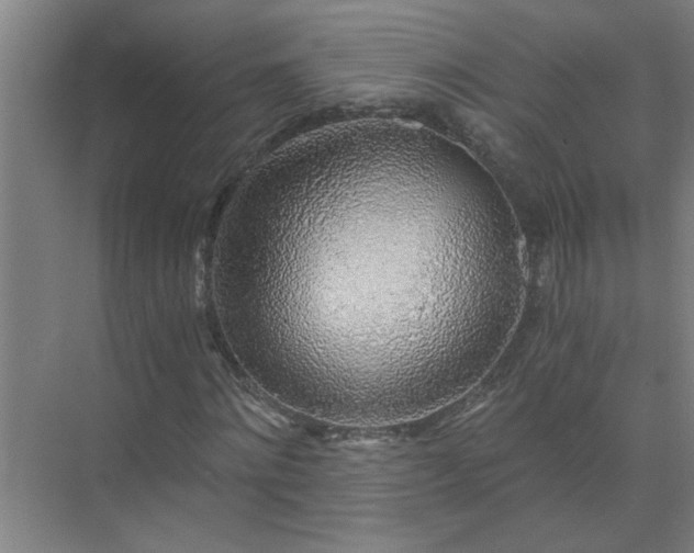 X0000072950868200607282227