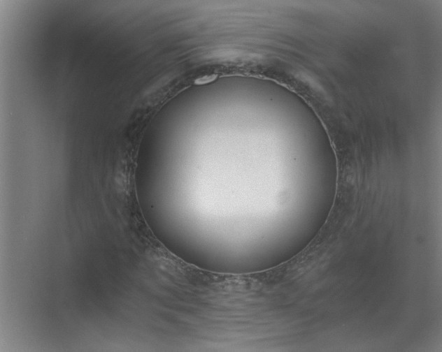 X0000072950869200607282227