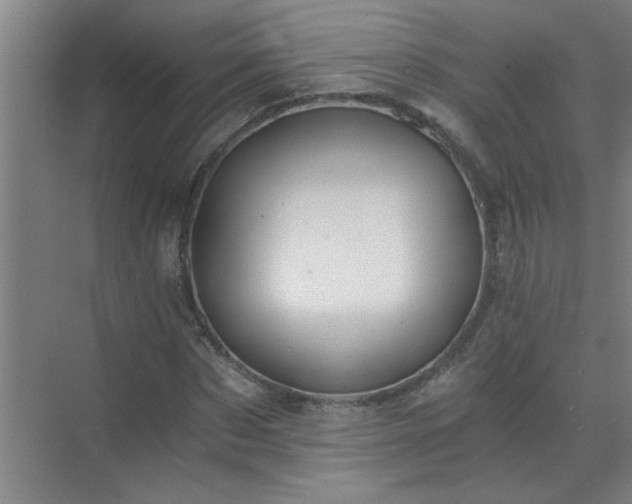 X0000072950873200607282227