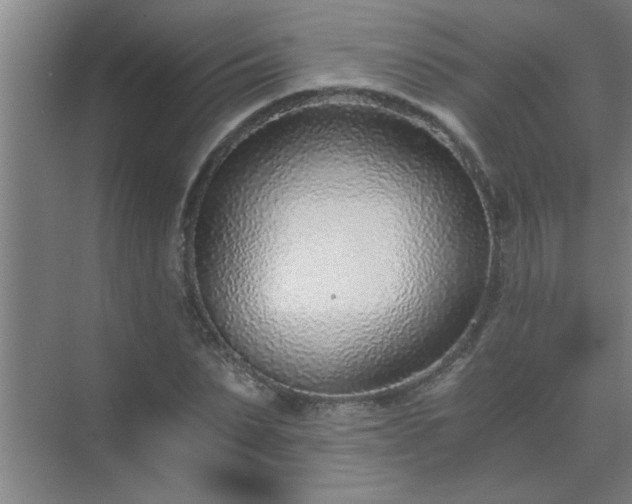 X0000072950879200607282227