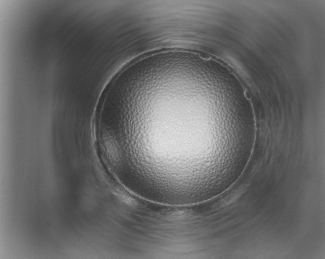 X0000072950891200607282227