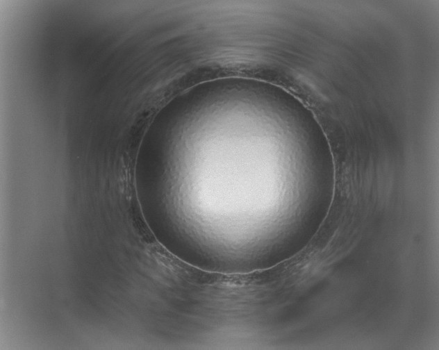 X0000072950917200607282226