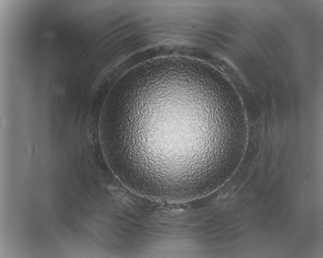 X0000072950919200607282226