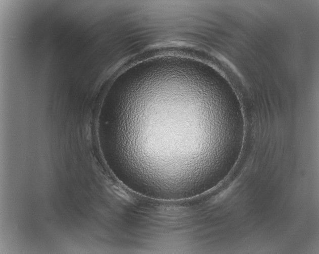 X0000072950921200607282226