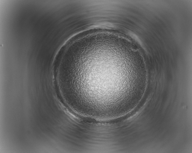 X0000072950923200607282226