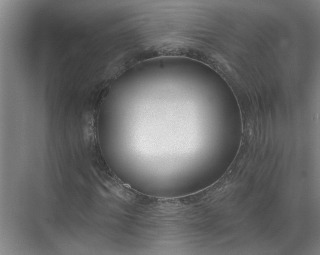 X0000072950964200607282226