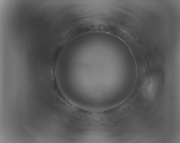 X0000072951013200607282224