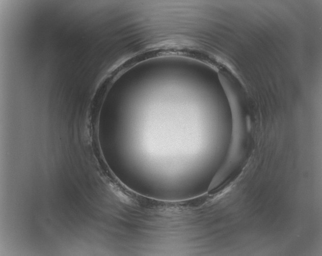 X0000072951018200607282224