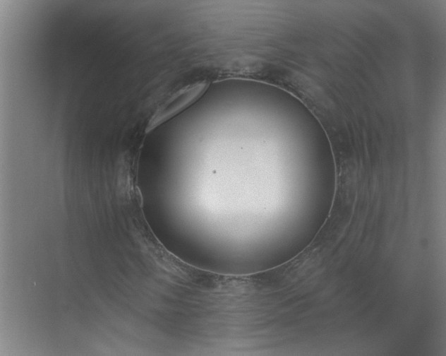 X0000072951058200607282224