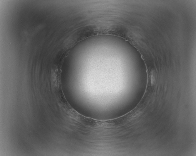 X0000072951059200607282224