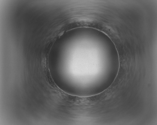 X0000072951061200607282224