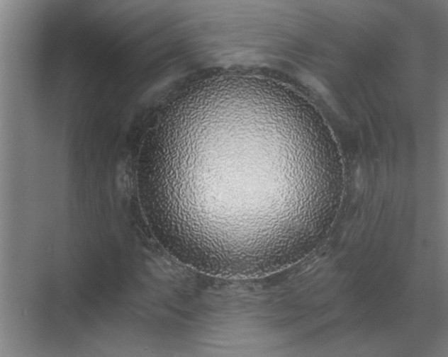 X0000072951063200607282224