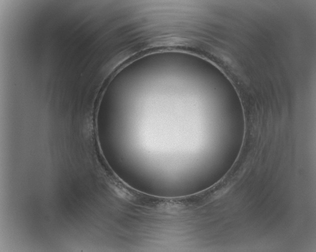 X0000072951073200607282224