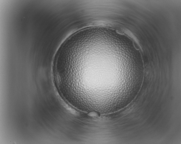 X0000072951091200607282224