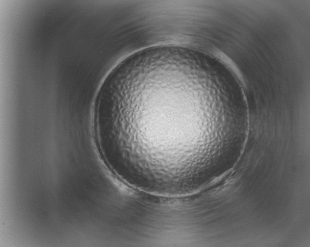 X0000072951099200607282223