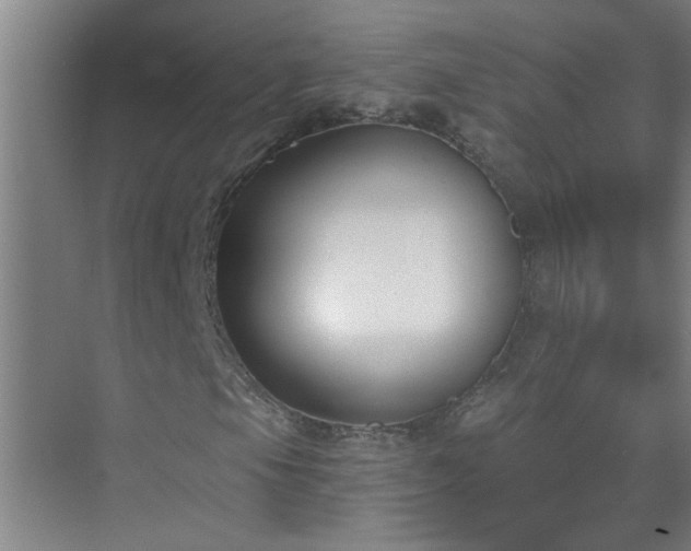 X0000072951105200607282222