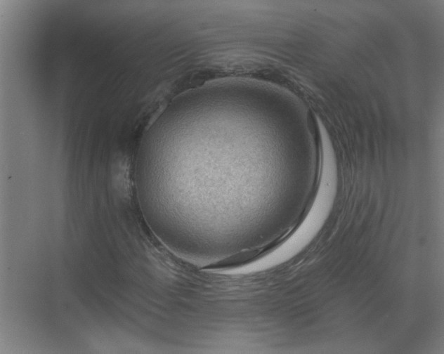 X0000072951108200607282223