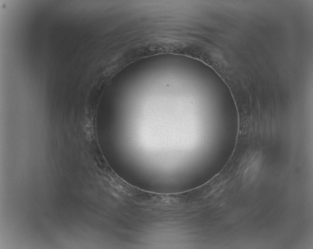 X0000072951109200607282223