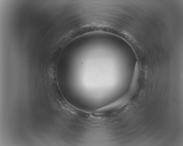 X0000072951110200607282223