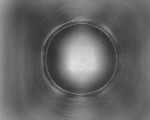 X0000072951124200607282223