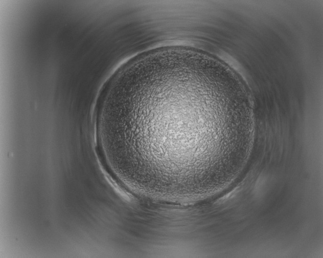X0000072951127200607282223