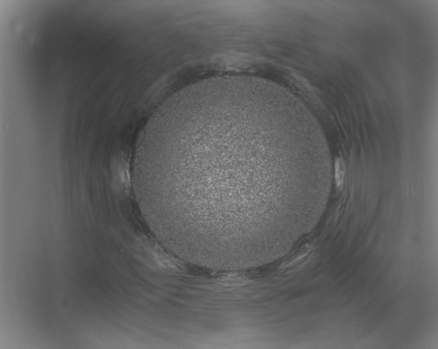X0000072951155200607282222